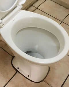 clean toilet after