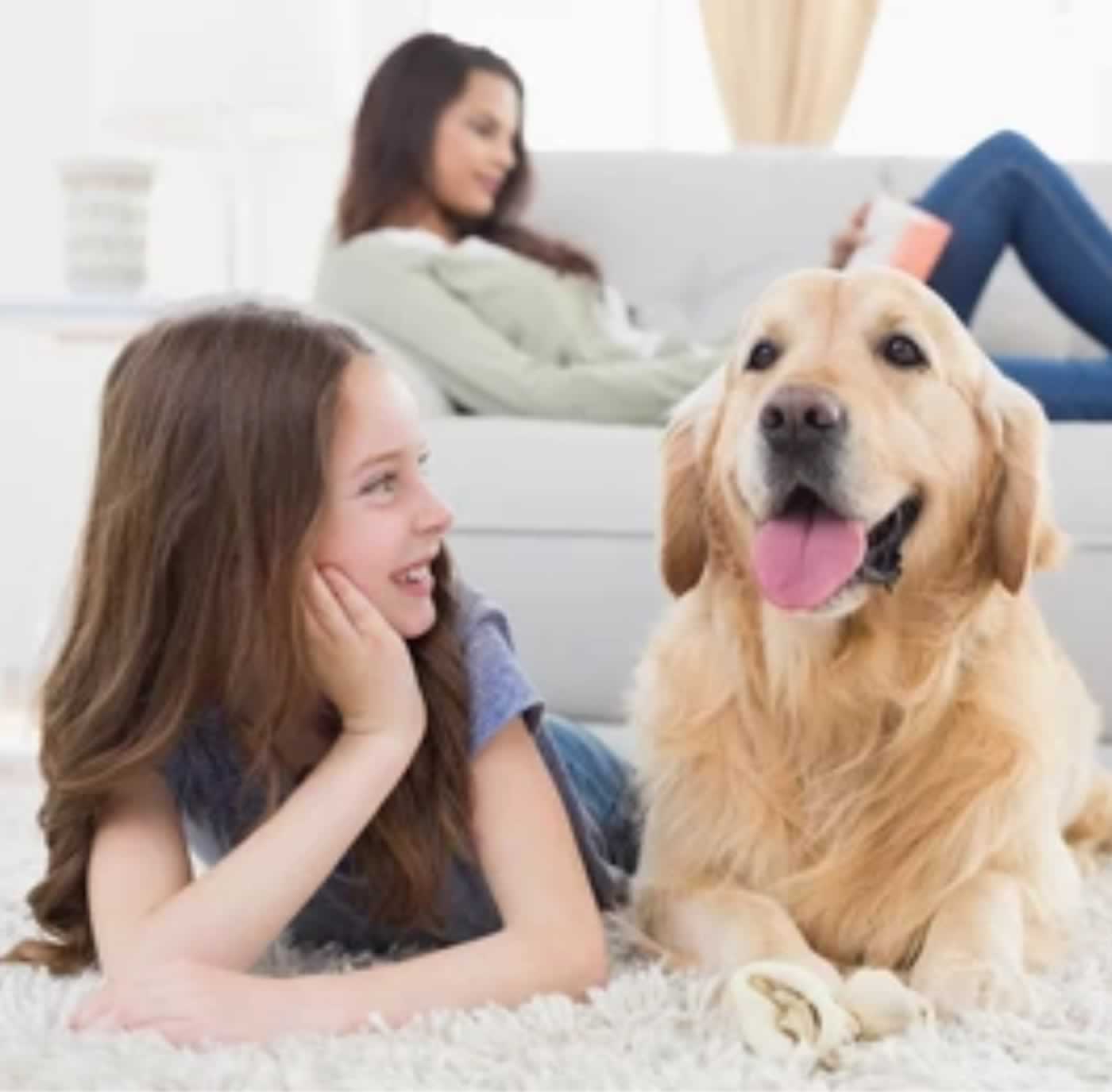 family pet safe cleaning