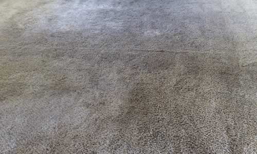 living room carpet cleaners before